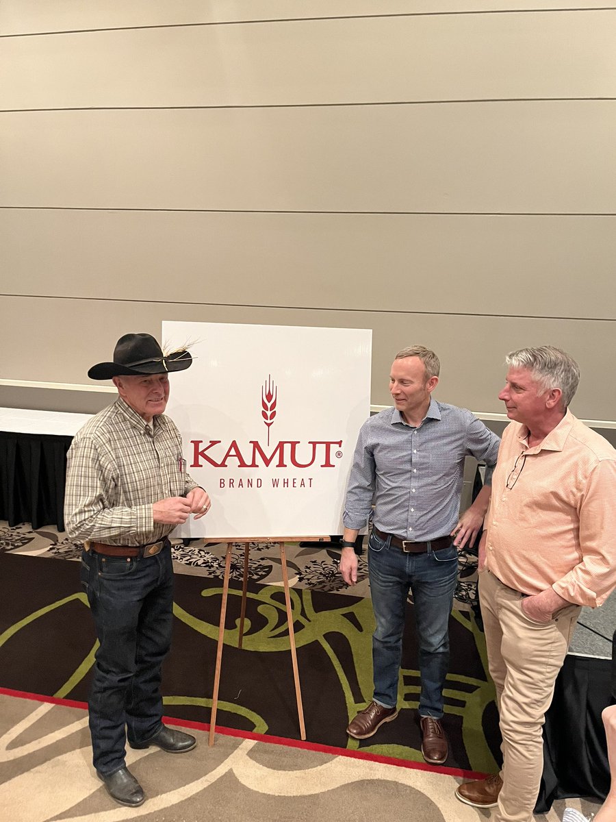 PHSOrganics's tweet photo. PHS is currently contracting Kamut acres. Call 1-306-869-2926 to book your acres! https://t.co/QiJeIFxmsZ