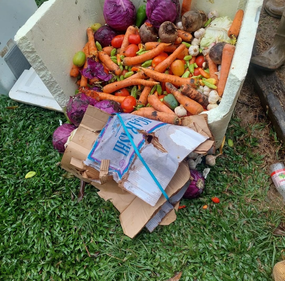 Que história INCRÍVEL de um colega do Ibama:

"Durante um período na TI Yanomami, retirando os garimpeiros da área e doando os alimentos apreendidos para as comunidades indígenas, percebi que os legumes ninguém pegava".