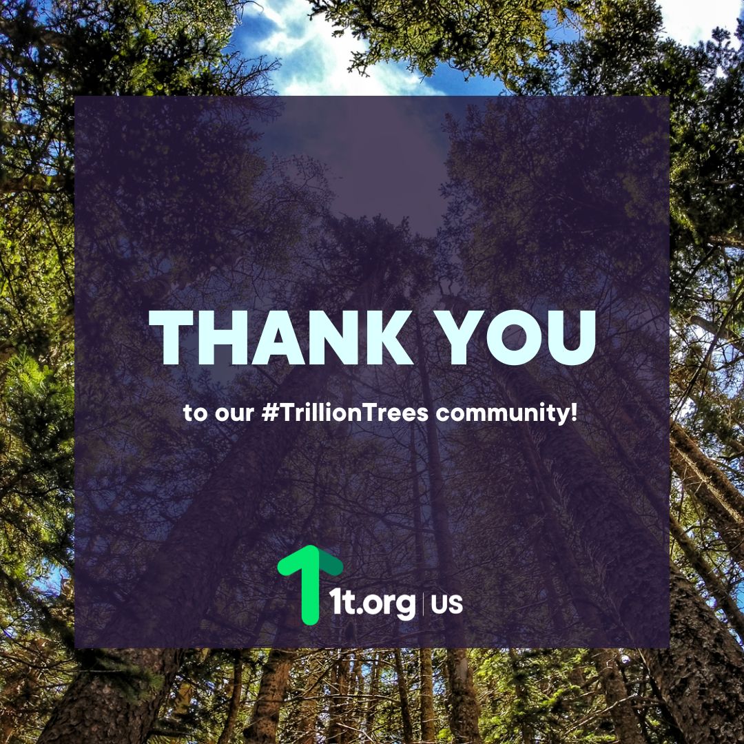 ForestsPlus's tweet photo. Thank you to everyone who joined us for the https://t.co/IHmwn5tlNn US Community meeting today and for the robust discussion! Special thank you to our speakers for sharing their insights and expertise. Learn more about ways to get involved at https://t.co/Cei4MTeLj8! https://t.co/RrC9MiuPG3