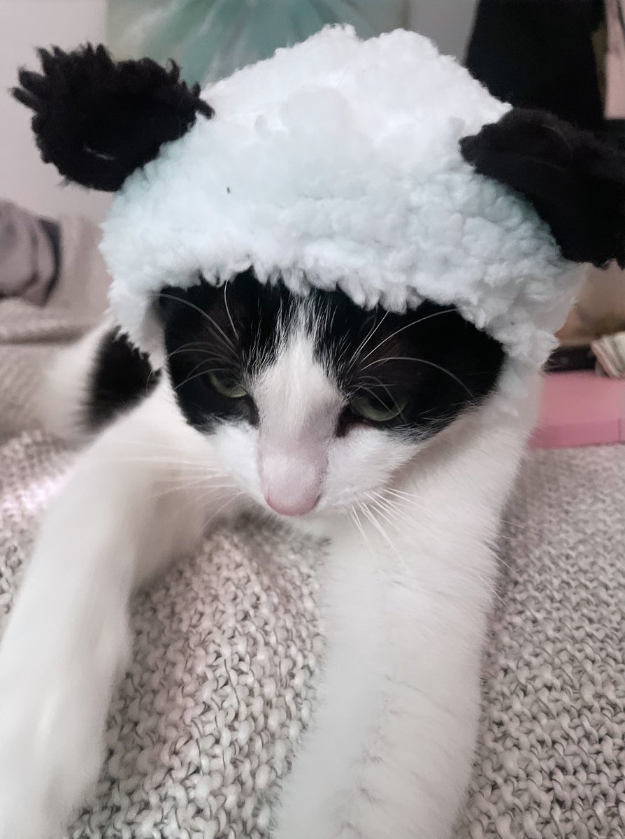 v0mitg1rl's tweet photo. grumpy moomoo https://t.co/ngaghuHgfv