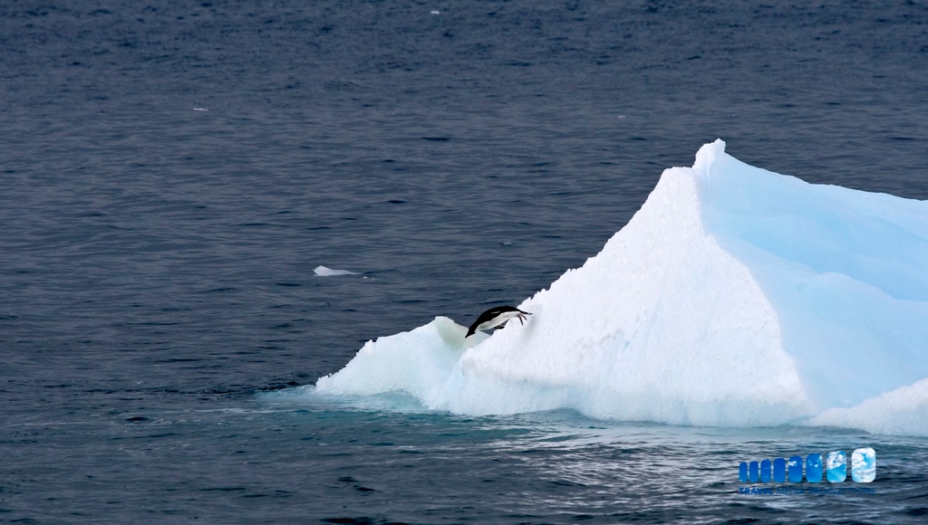 Adélie penguin jumping into the water on Antarctica
•
•
•
•
•
#nordic #arctic #scandinavian #svalbard #scandi #nordicinspiration #norse #viking #scandinavia #nordicliving #nordnorge #scandinavianinterior #nordicdesign #travelling #scandinaviandesign #interiør #northernnorway