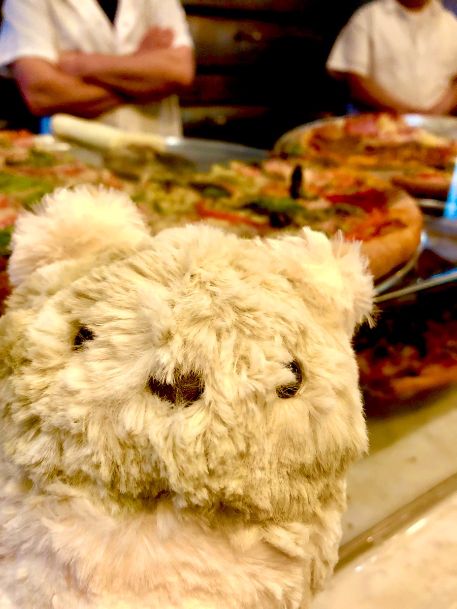 A day in NYC with <a href="/mypurrble/">Purrble</a> #Purrbleとの暮らし #NYC