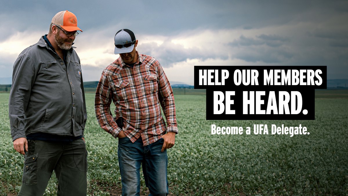 UFAcooperative's tweet photo. 🤔Do you like to help influence change and shape the future?  𝗕𝗲𝗰𝗼𝗺𝗲 𝗮 𝗨𝗙𝗔 𝗗𝗲𝗹𝗲𝗴𝗮𝘁𝗲!

We are looking for candidates in various districts. 

▶️To learn more &amp; apply visit: https://t.co/suGgG67be8

𝗖𝗹𝗼𝘀𝗲𝘀 𝗠𝗮𝗿𝗰𝗵 𝟮𝟱, 𝟮𝟬𝟮𝟯 https://t.co/aoglMIedga