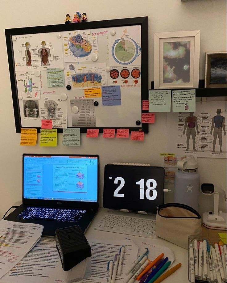 dawonrice's tweet image. hey #studytwt !!
i wanna make a gc for aspiring med students/doctors !
- ☆ anyone can join 
- ☆ u can be in any school/academic level
- ☆ we can motivate eachother, talk about our dreams and track eachothers progress &amp;lt;3
rt or reply to join !! 🩺🤍