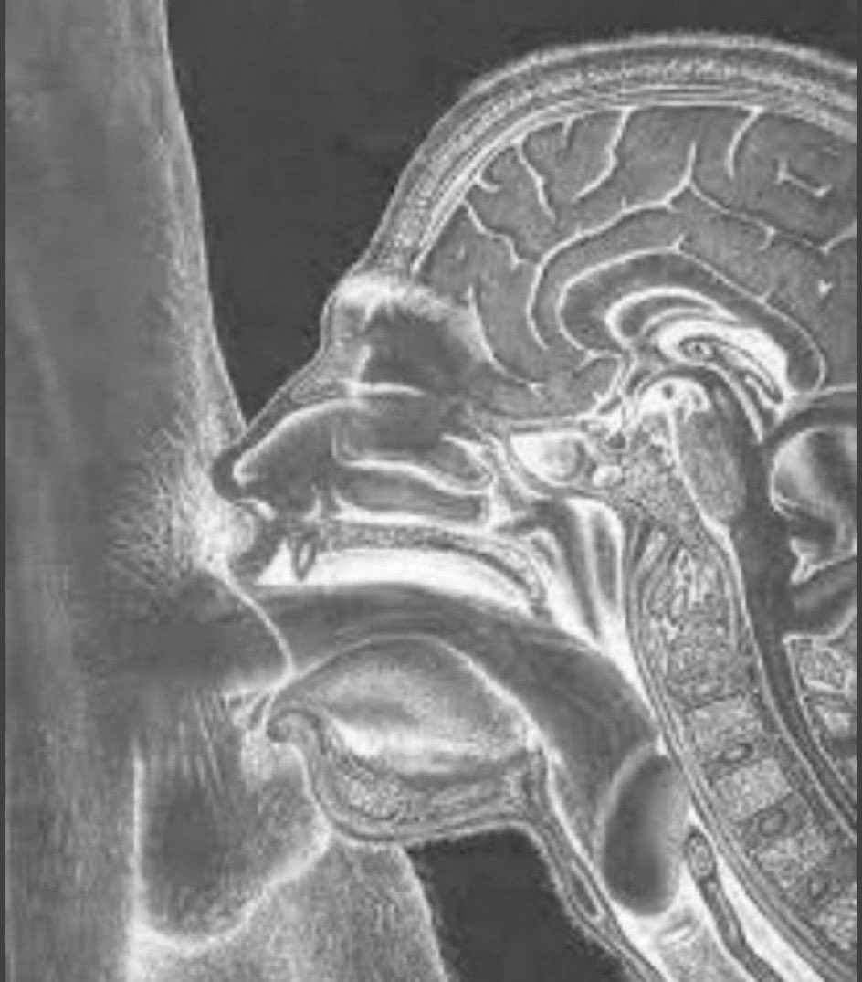 GoatedLonzo (@goatedlonzo) on Twitter photo 