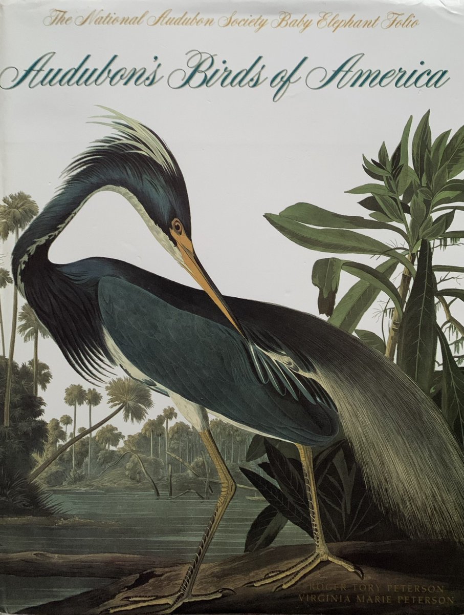 WiganLaneBooks's tweet photo. Audubon’s Birds of America: The National Audubon Society Baby Elephant Folio

https://t.co/JS9HahVXNY https://t.co/OUnnag6UKW