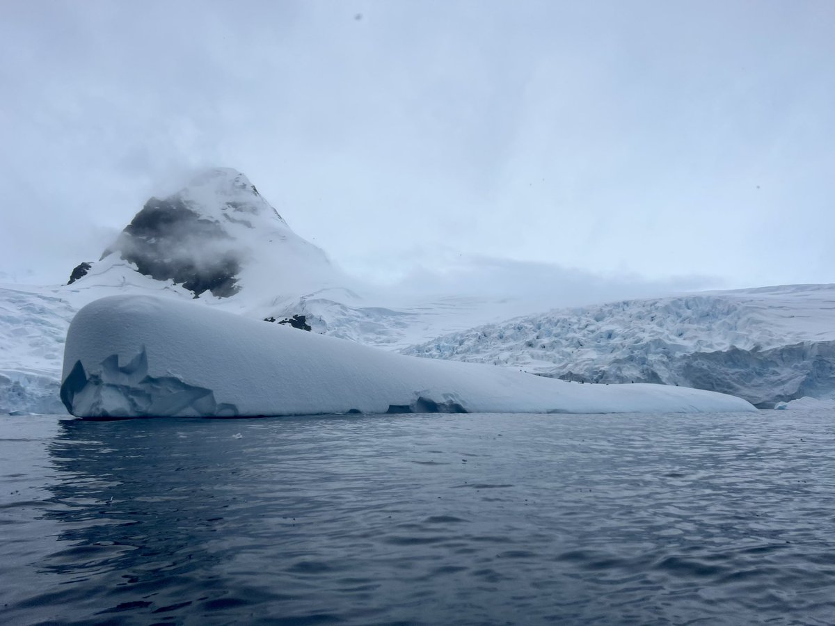 “Yes, as everyone knows, meditation and water are wedded for ever.” Herman Melville (Moby Dick) 
#melville #ciervacove #seakayaking #atlasoceanvoyages #Antarctica