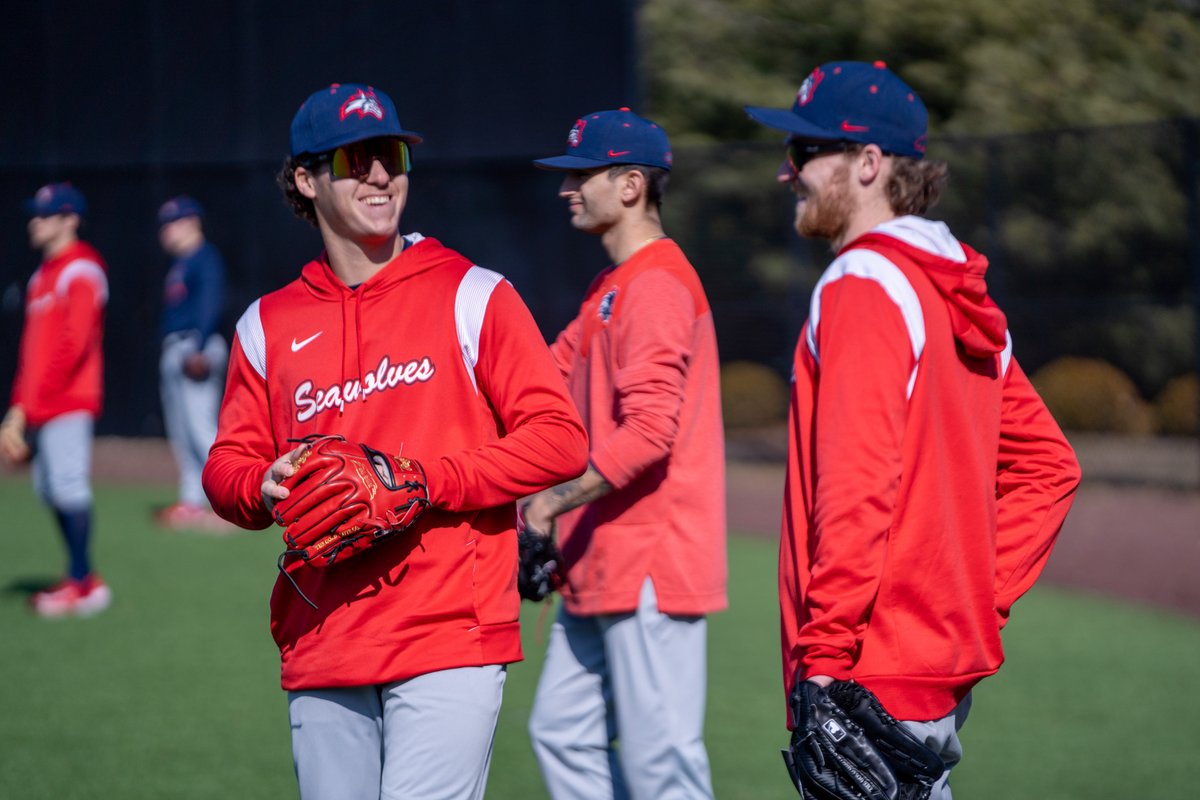 Stony Brook Baseball tweet media