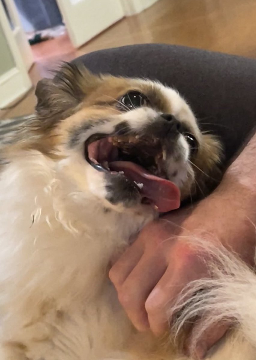 Boogie2988 tweet media