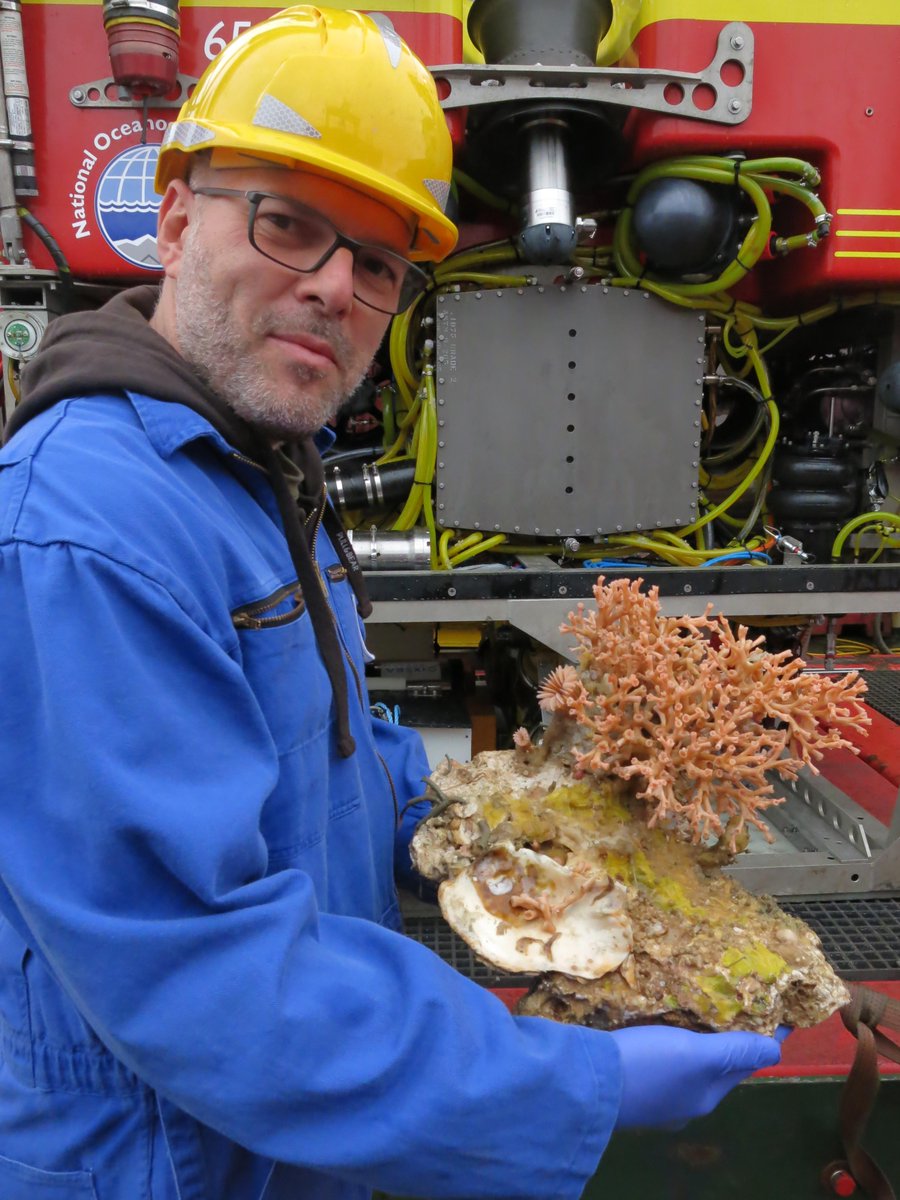 Ocean_Networks's tweet photo. 1/2  Coral events 🪸 ONC’s Researcher in Residence #Recap 

2022: Claudio Lo lacono (@ICMCSIC) worked with ONC to study BC’s cold-water #corals to understand the impact of  #climatechange in these #ecosystems. 

Learn more 👉 https://t.co/pgwbSveaa7

#researcherinresidence https://t.co/tocYyTU0KM