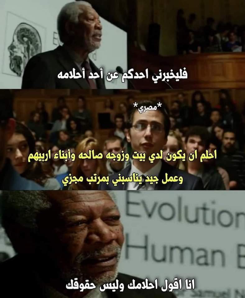 Free Palestine𓂆🇵🇸 (@xsohilax) on Twitter photo 