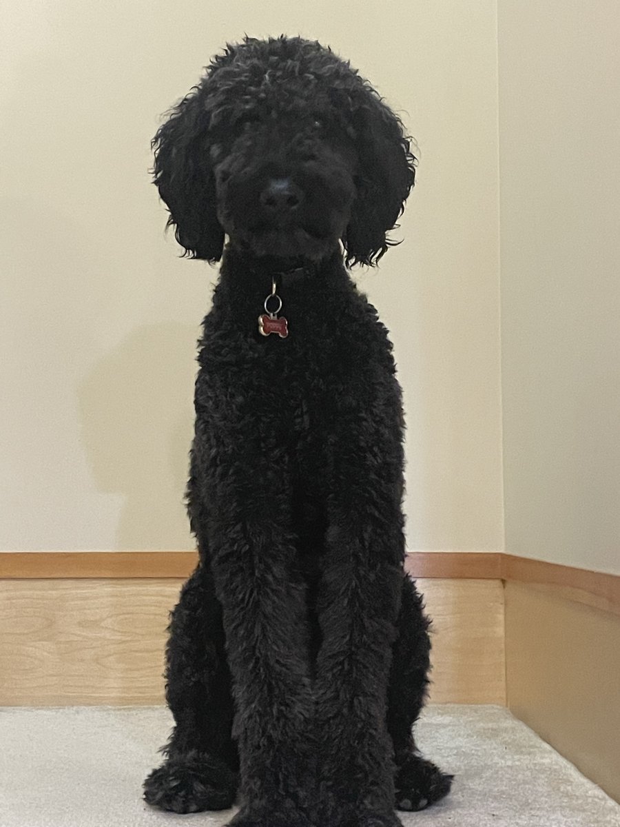 Ron Smouter tweet media