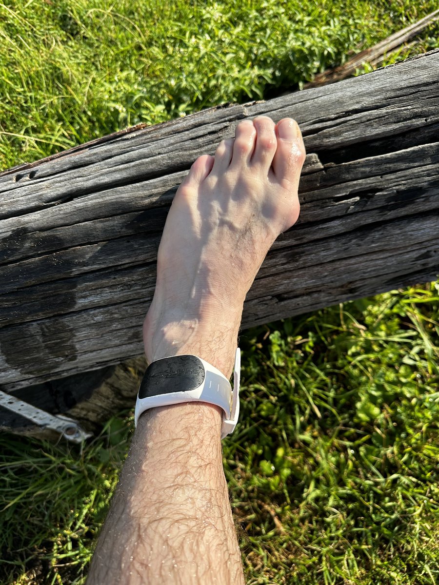 Glennfen87's tweet image. A busy but gorgeous morning at The Farm this morning .... but I was glad I had my @Sharkbanz on, coz it was very murky, as expected... 🤪🤙🏻 @AquaTech_AxisGO #shellharbour