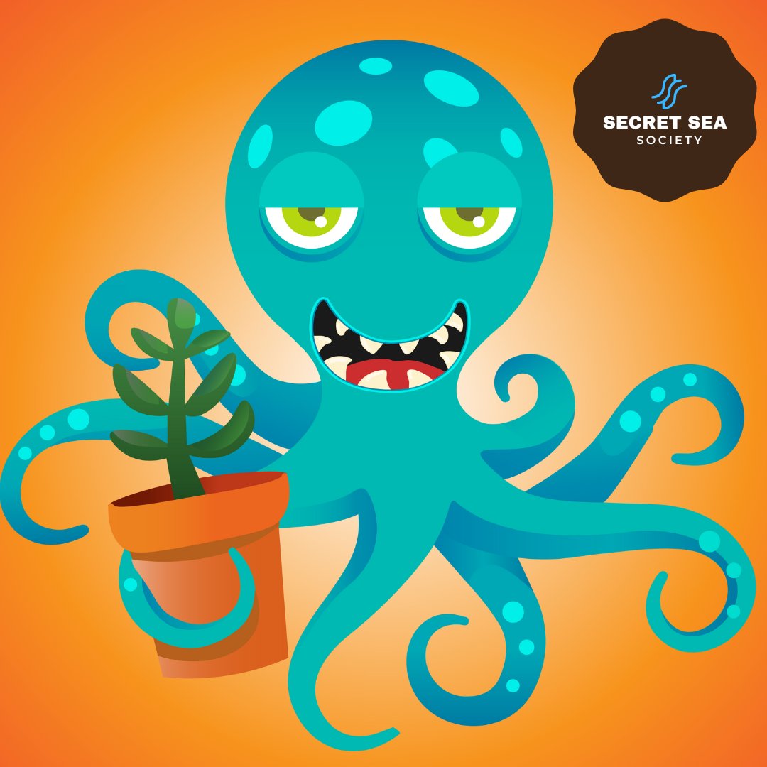 Start your NFT collection with a free Octopod from the Secret Sea Society.  
Claim yours using the Snafler app.
i.mtr.cool/ovtjaabhls
i.mtr.cool/pbrmxtzsza
#nft #nftcollectibles