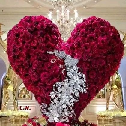 Williams Brooklyn tweet media