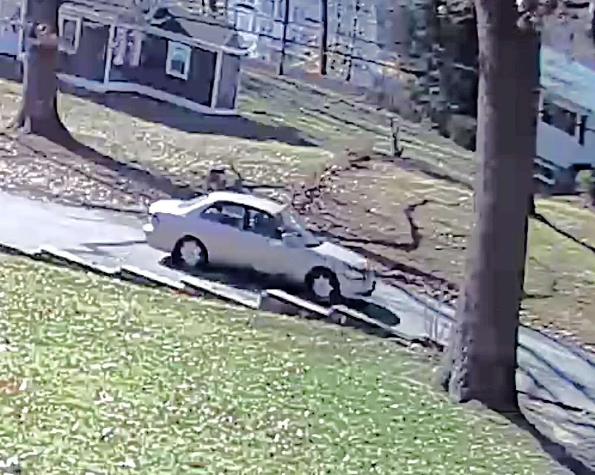 Fairfax County Police on Twitter "Officers seek community help to