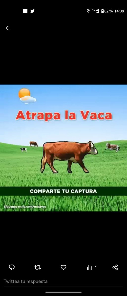 sandanux's tweet photo. @momentoviral https://t.co/2z1L2QzCjq