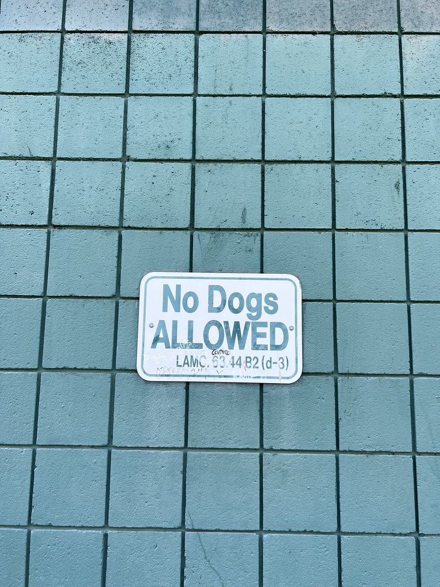 jlf_420's tweet image. #NoDogsAllowed, No Dogs Allowed, No Dogs Allowed on the Subway today. 🐶