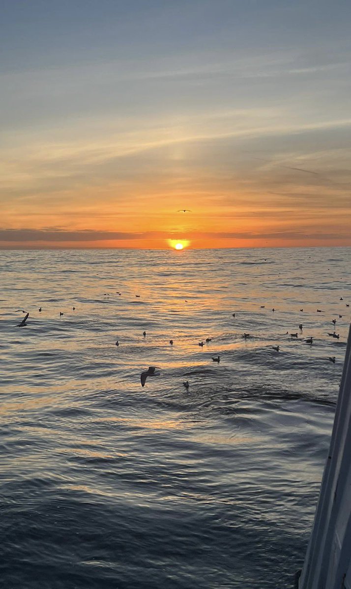 Another gorgeous sunset at sea tonight from @Bm800_Hake #OfficeView #CelticSea #FishermansLife