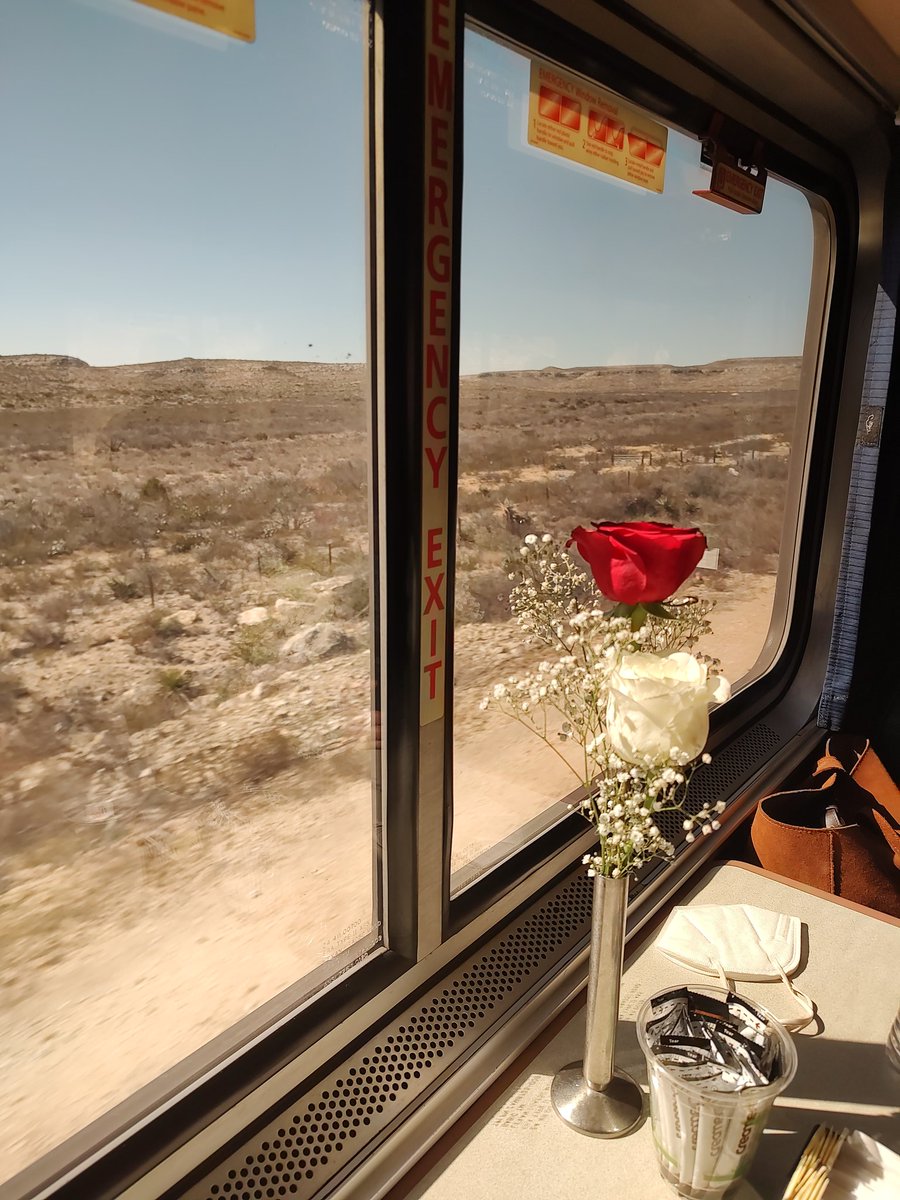 View out the dining car window near Sanderson on the #amtrak #sunsetlimited today #southernpacific #passengerrail #us90