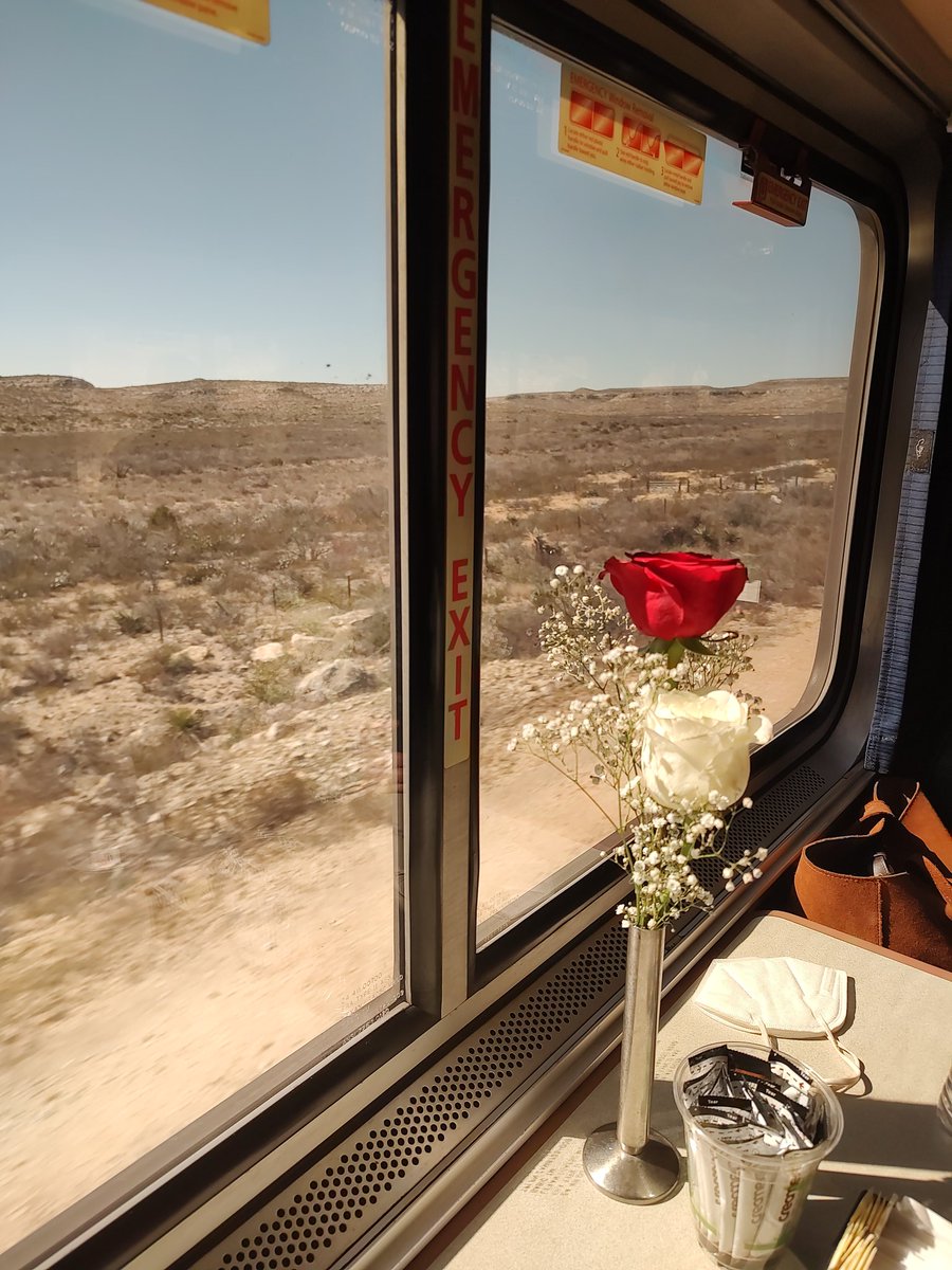 CountyJp's tweet photo. View out the dining car window near Sanderson on the #amtrak #sunsetlimited today #southernpacific #passengerrail #us90 https://t.co/YvoOaUBBiK