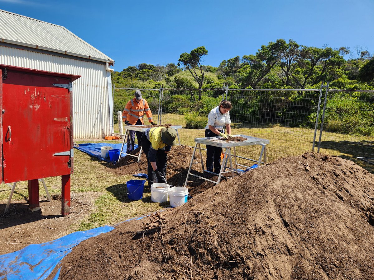 Ben Shaw (@archaeoben10) on Twitter photo Day 3-5, ANU fieldschool, Mornington Peninsula. The students are working well together. At Schanck remains of the 1860s stables are being revealed. At Fingal, past Aboriginal land use carefully recorded. Evening talks by Heritage Insight and Latrobe Uni. @ANU_CHL <a href="/AustArchaeology/">AustArchAssoc</a> Day 3-5, ANU fieldschool, Mornington Peninsula. The students are working well together. At Schanck remains of the 1860s stables are being revealed. At Fingal, past Aboriginal land use carefully recorded. Evening talks by Heritage Insight and Latrobe Uni. @ANU_CHL <a href="/AustArchaeology/">AustArchAssoc</a>