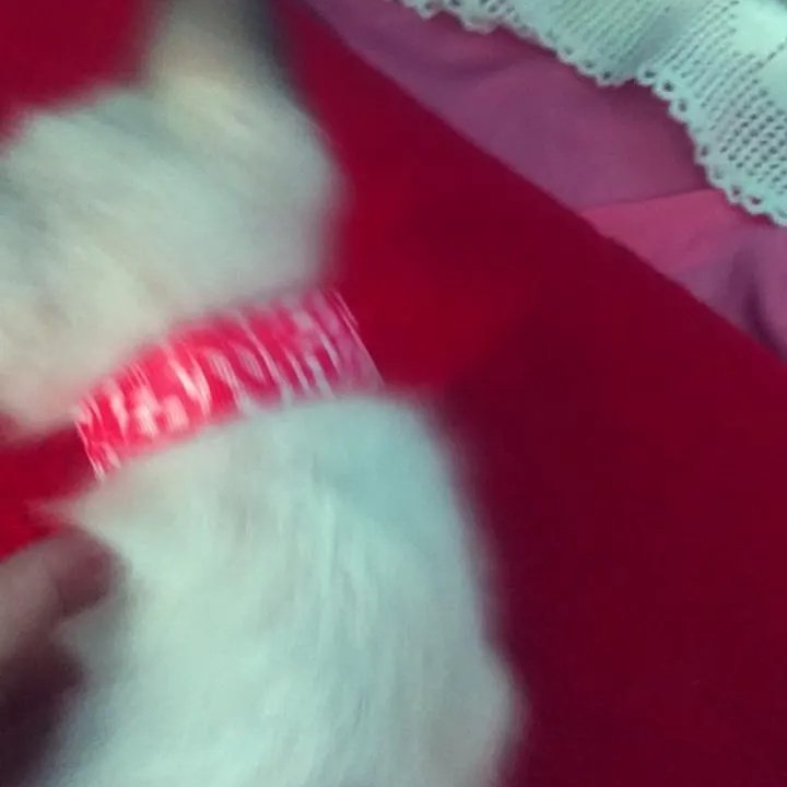 ela nao deixa eu tirar foto dela 💔