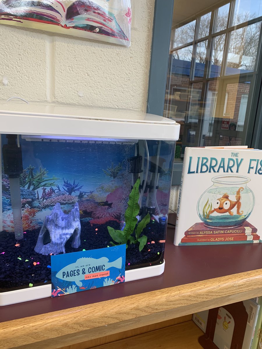 Chesterbrook ES Library tweet media