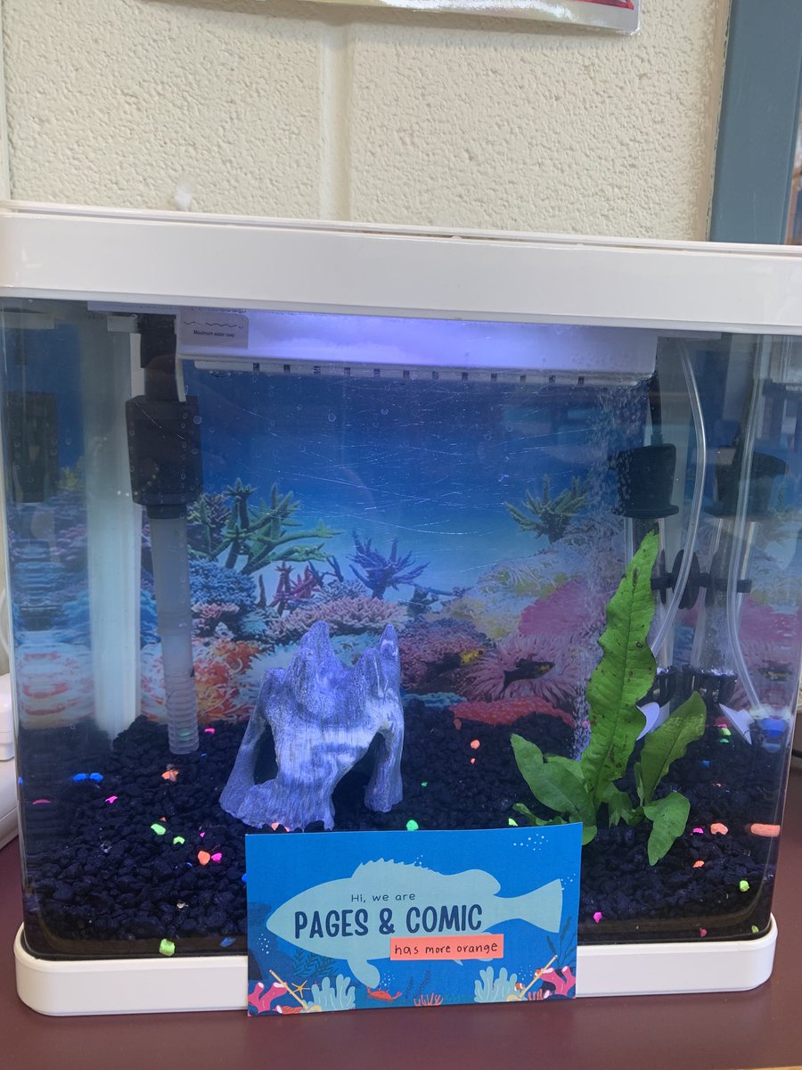 Chesterbrook ES Library tweet media