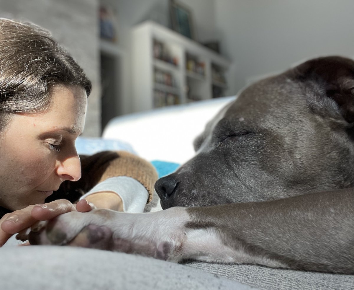 Find your faith &amp; spend time there. For me, it's #dogs #rescued #Pitbull