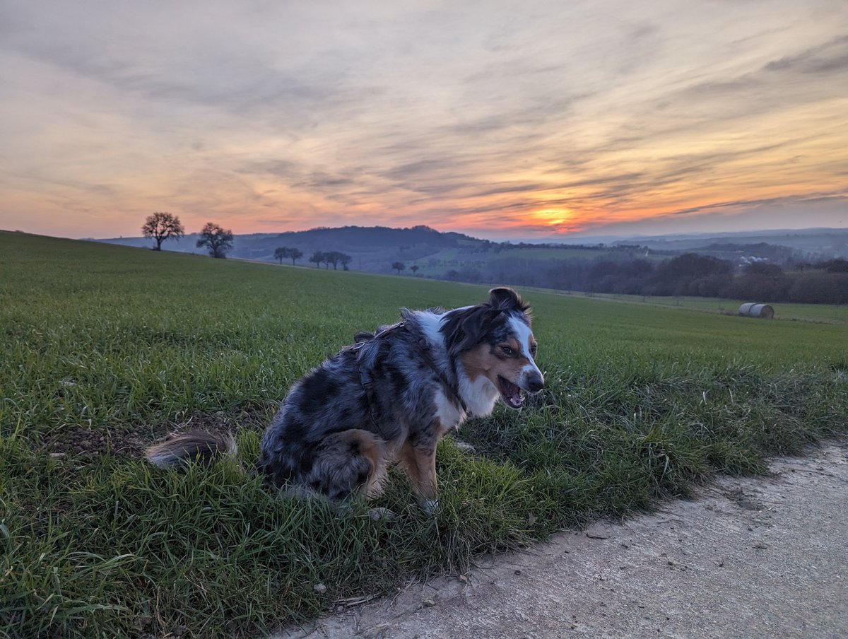 Me when I think about how much I still have to study for my exams