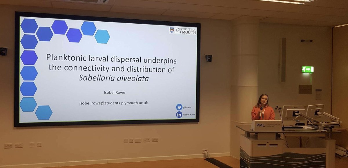 Isobel Rowe tweet media