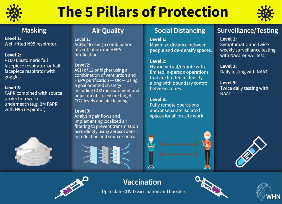 Dalia Hasan On Twitter TheWHN 5 Pillars Of COVID Protection Pass dalia-hasan-on-twitter-thewhn-5-pillars-of-covid-protection-pass