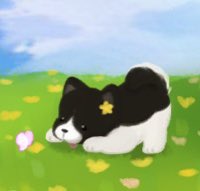 かわいいOreoちゃん🐶❤