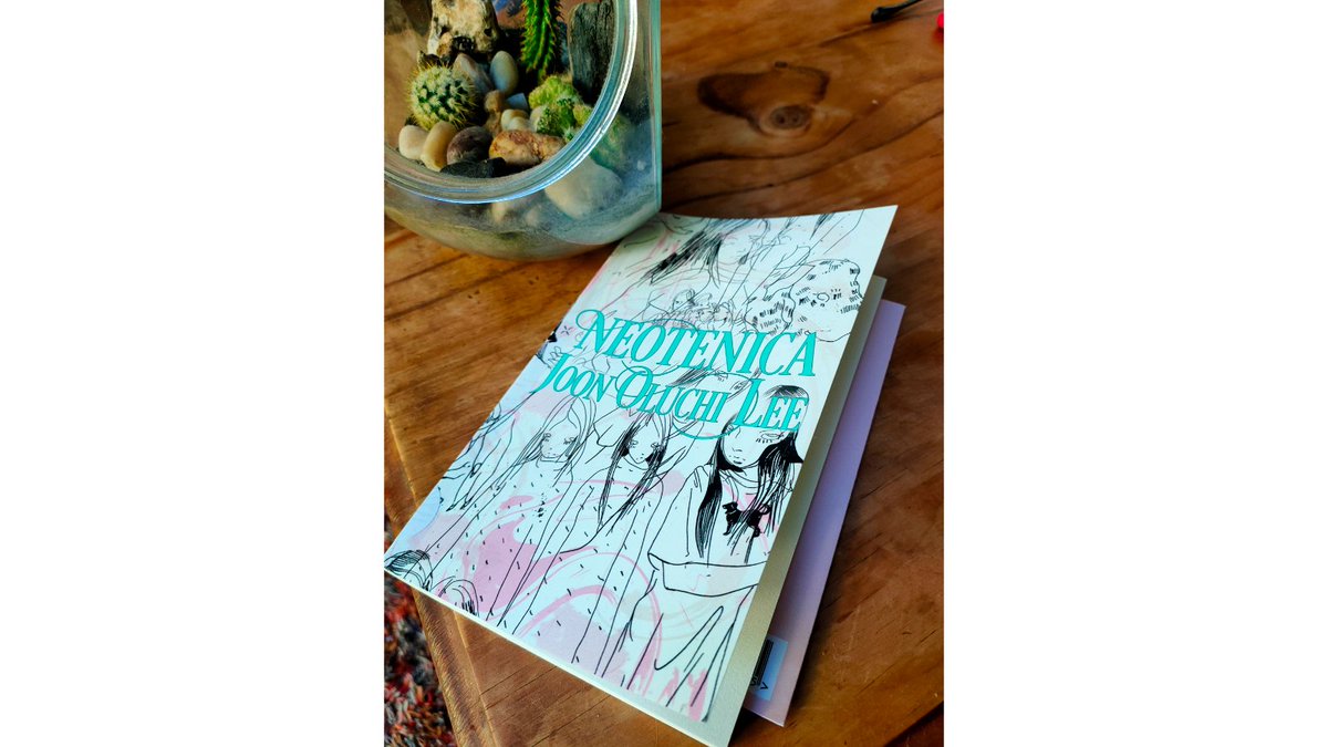 Pip Adam tweet media