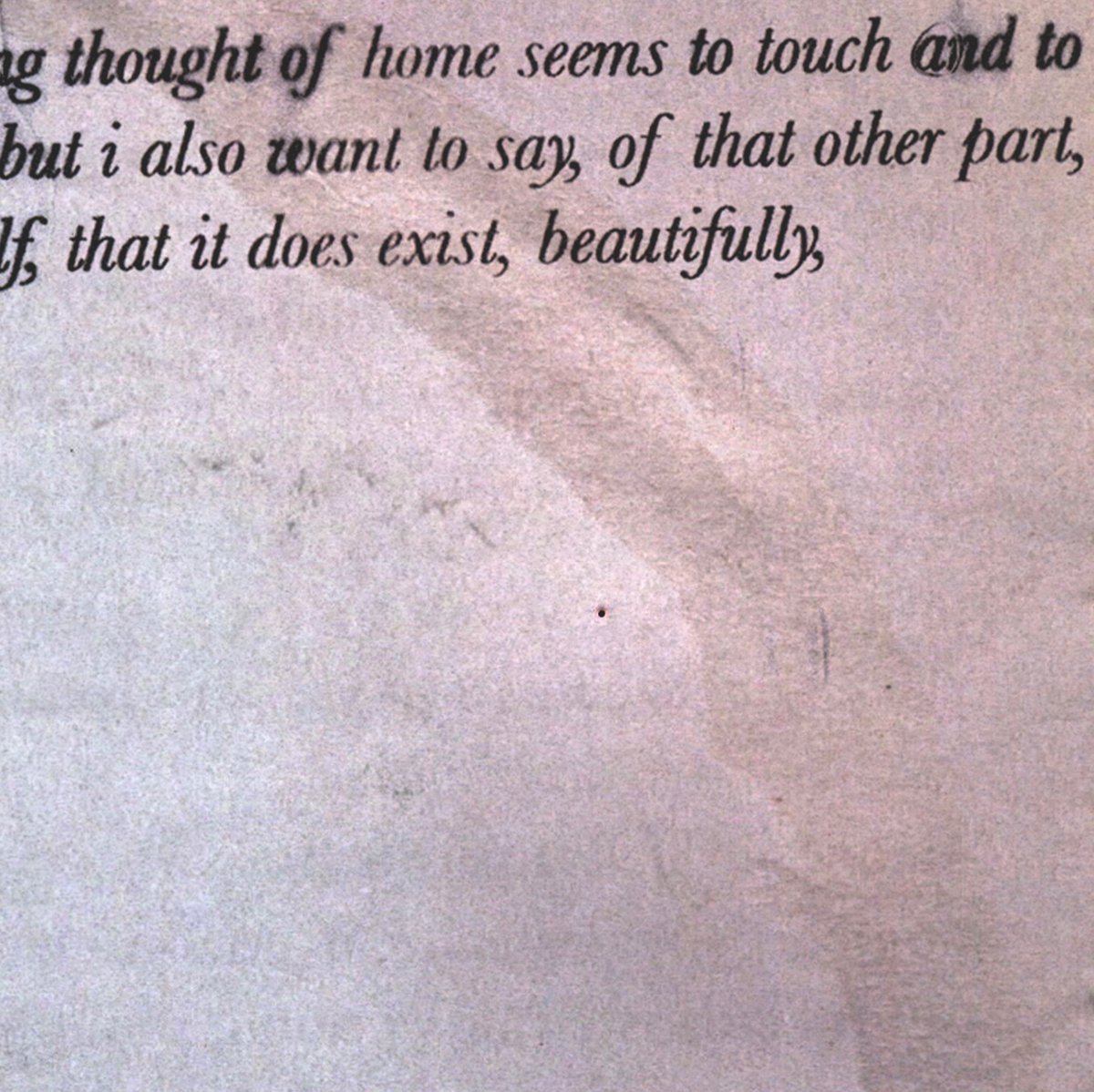 at ease in the shadows, tweet media