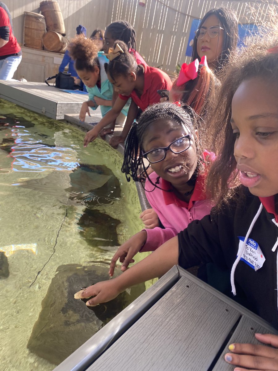 Tatiyana Bickems tweet media