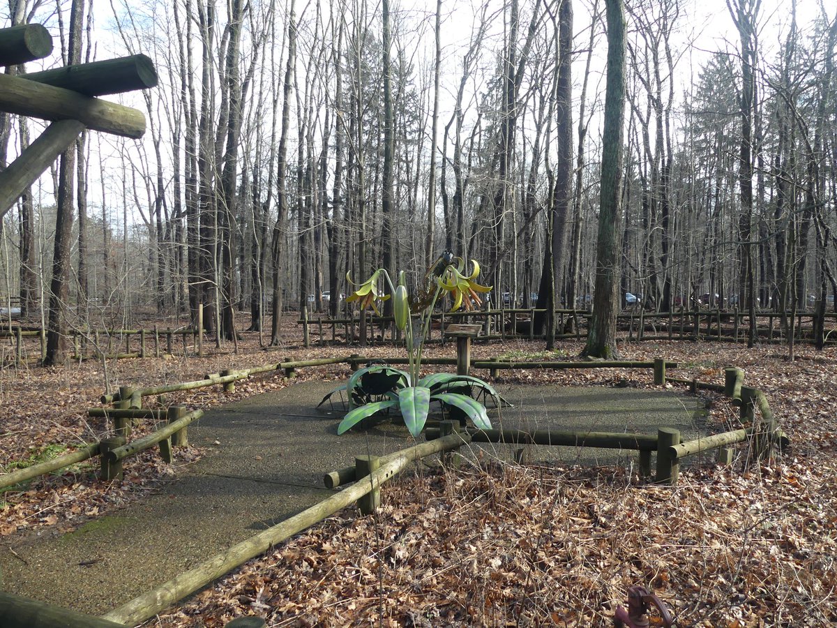 RavenBlossoms💜🌼☮️🌊🇺🇸🇺🇦🏳️🌈🏳️⚧️ on Twitter: