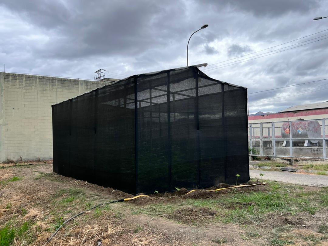 Junto a la Vice <a href="/dianacastvzla/">@dianacastvzla</a> de <a href="/IndustriasVE/">Ministerio de Industrias y Producción Nacional</a> vimos los avances de las Casas de Cultivo en la Planta Madre #Corpivensa del edo. #Aragua, como lo ha instruido nuestro Pdte. <a href="/NicolasMaduro/">Nicolás Maduro</a> con la Industralización de los Barrios.
¡Seguimos Venciendo! 
#IVIC64Años
#SomosCaribe
