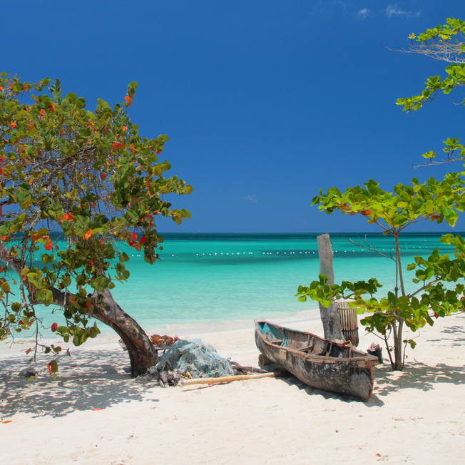 TravelersJoy's tweet photo. Visiting Jamaica for your #honeymoon? Here are the top 30 things to do on your once-in-a-lifetime trip --> https://t.co/D1HAFji5oP #jamaicahoneymoon #jamaica #skiptheblender https://t.co/eYfv4FfwkS