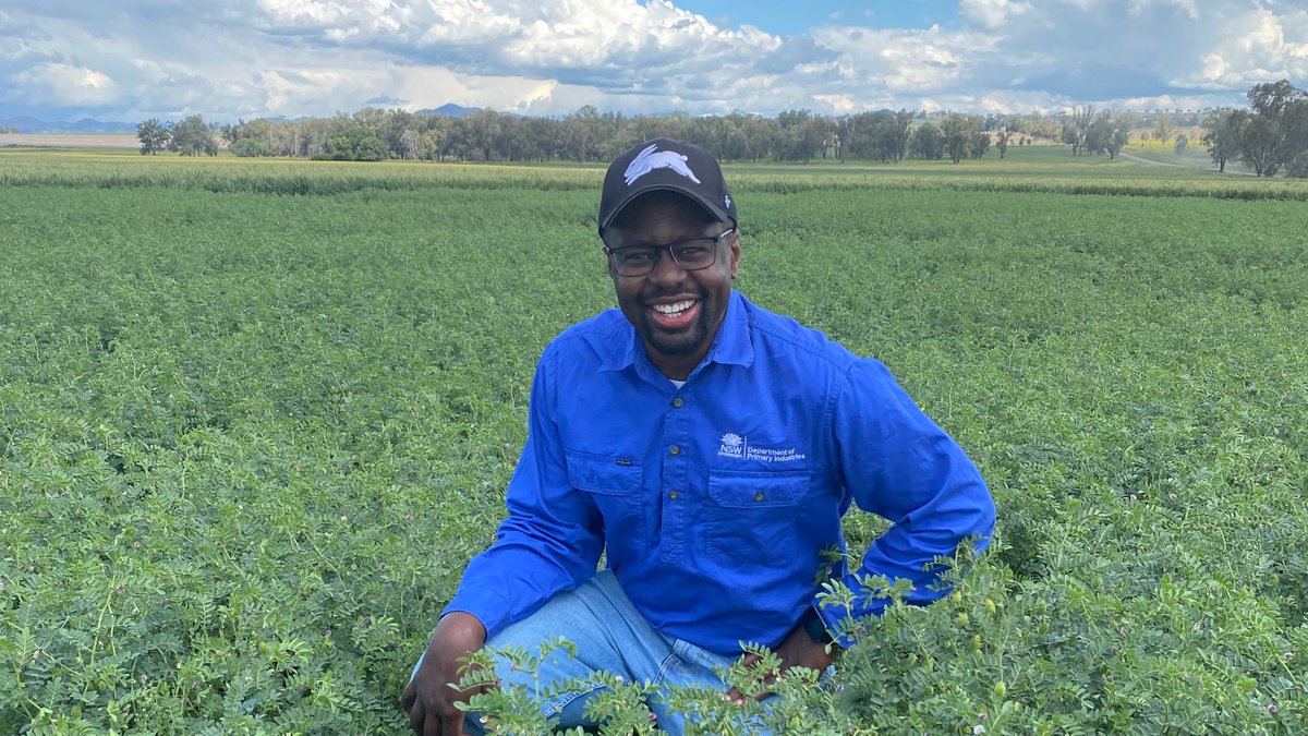 NSW Agronomy tweet media