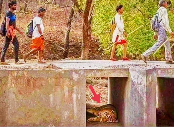 जब तक समस्याओं का पता न चले, तब तक जीवन तनाव मुक्त रूप में चलता रहता है..!