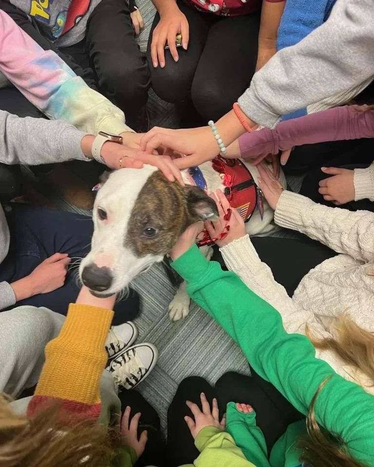 Go Team Therapy Dogs are always a huge hit when they visit Hart! Thanks Jake, Bennet and Lucky for making our day better! @goteamtherapydogs #LeadwithHart