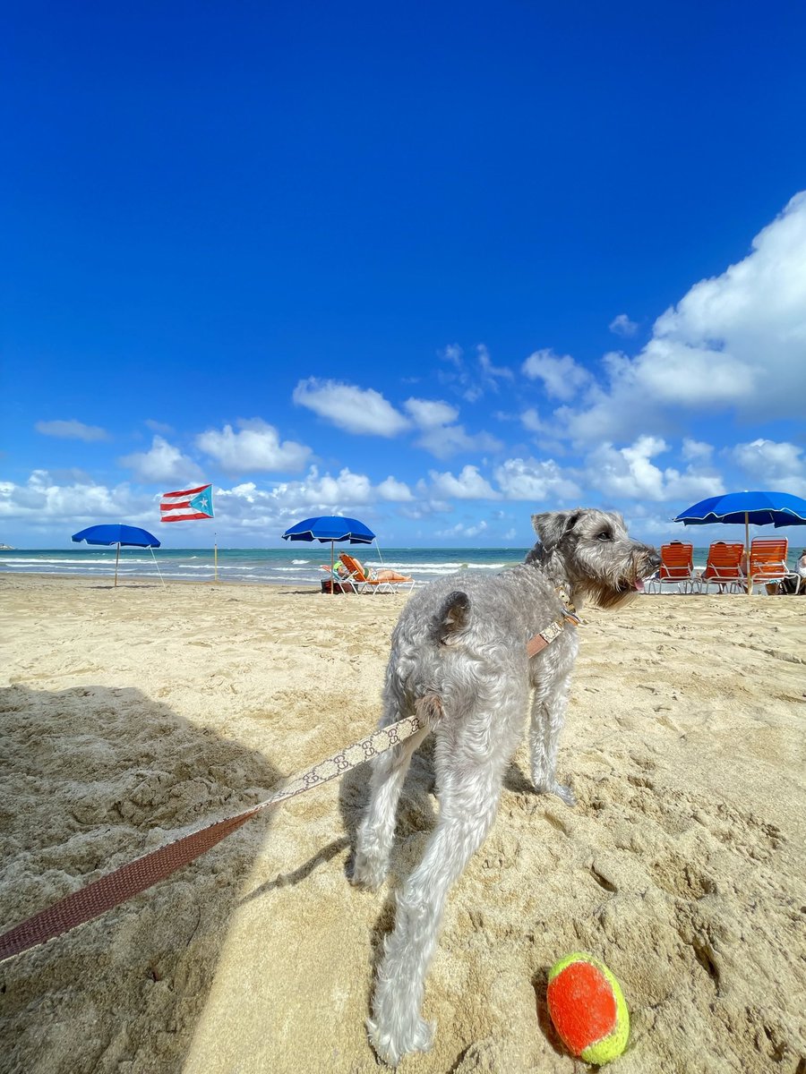 Mi bebé cumpleaños hoy🥹🤍 #1