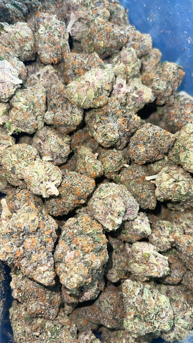 blackhippyfarms's tweet photo. Making plays in the rain ☔️ while QCing the Galaxy 41 #PrivilegePacks #BHF #TribeShitOnly #CannabisCommunity #Shrooms https://t.co/yeCvwnYYCn