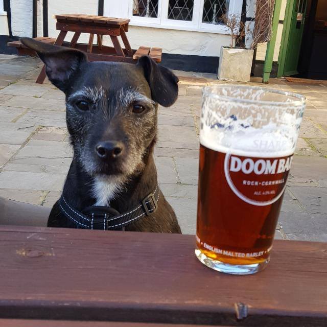 NYROJulesB's tweet photo. @DreyfusJames Our boy enjoying a pint of Doombar, which coincidentally is his dads favourite tipple 😘 https://t.co/9qn3hVkiyp
