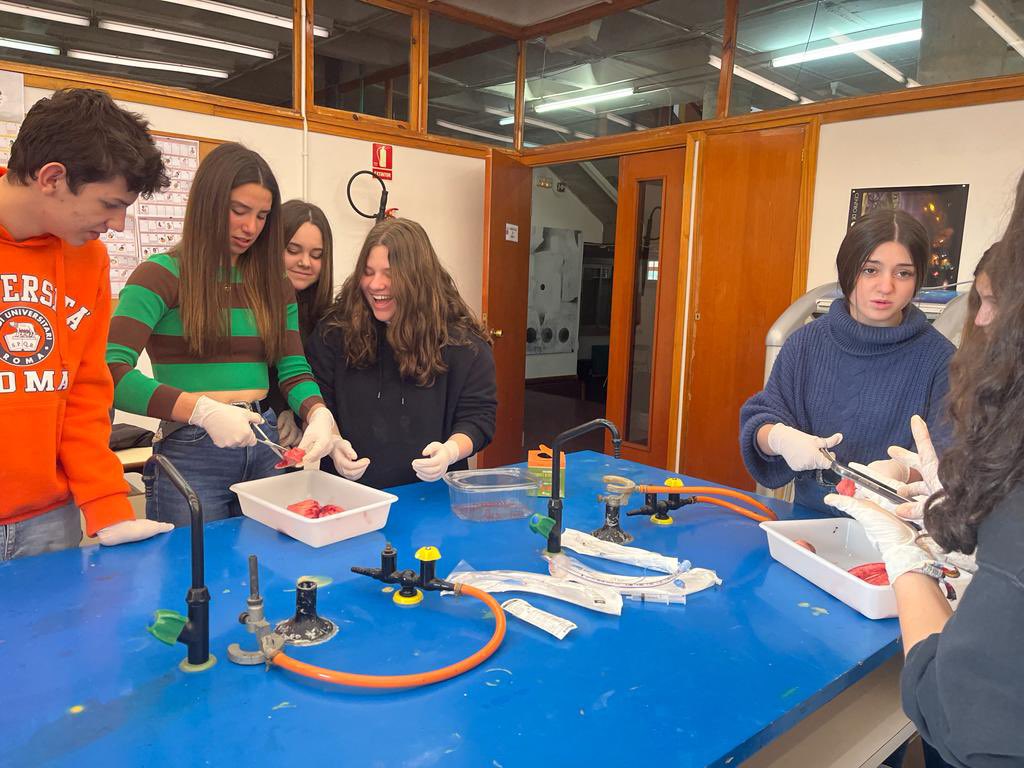 Enpetrol2016's tweet photo. Hoy los alumnos de 3º de la ESO han realizado una práctica de disección de pulmón de cordero, donde han podido comprobar de forma experimental la parte de la anatomía del aparato respiratorio.
¡Buen trabajo chicos!

#inmaculadaenpetrolmola https://t.co/sN7dEiExhM