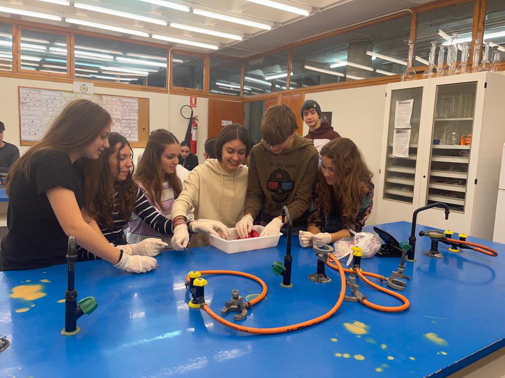 Enpetrol2016's tweet photo. Hoy los alumnos de 3º de la ESO han realizado una práctica de disección de pulmón de cordero, donde han podido comprobar de forma experimental la parte de la anatomía del aparato respiratorio.
¡Buen trabajo chicos!

#inmaculadaenpetrolmola https://t.co/sN7dEiExhM