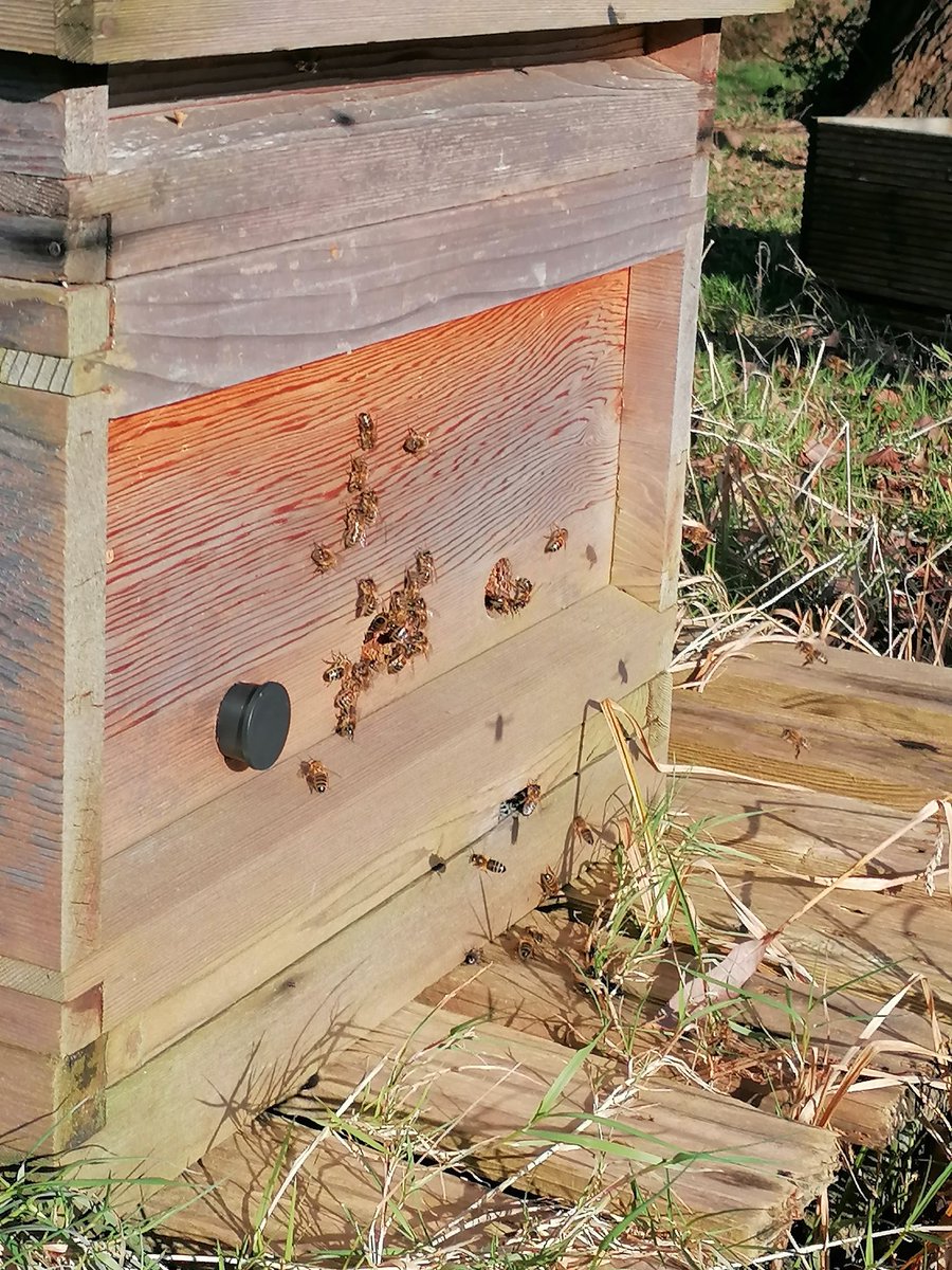 Llanishen Fach tweet media