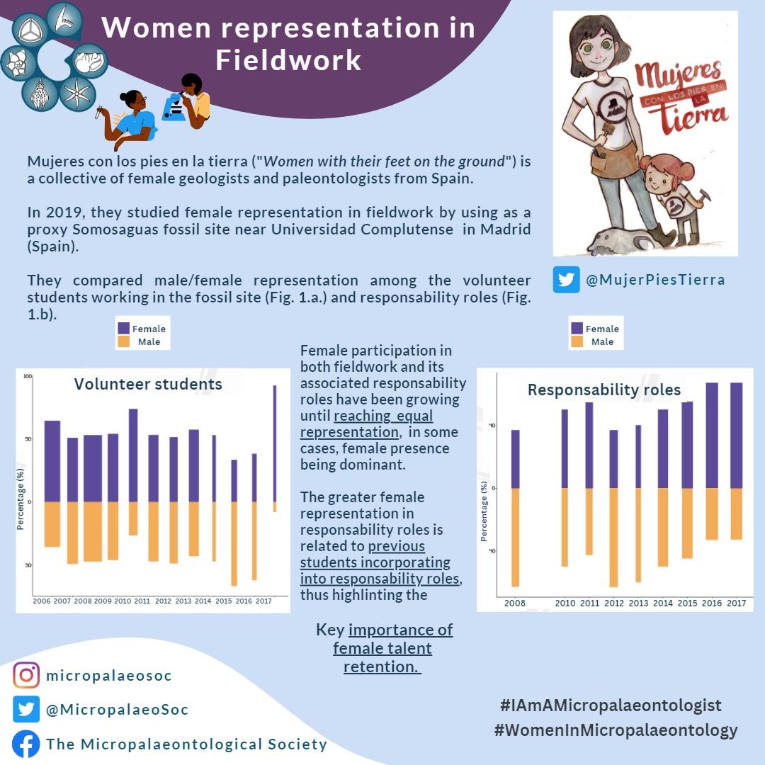 MicropalaeoSoc's tweet photo. For the second entry of our infographic series, we bring you a study conducted by @MujerPiesTierra on women representation in fieldwork for #Geosciences.  #Somosaguas fossil site is an example of a paleontological site where equal representation has been achieved. https://t.co/zpP42XlH9H